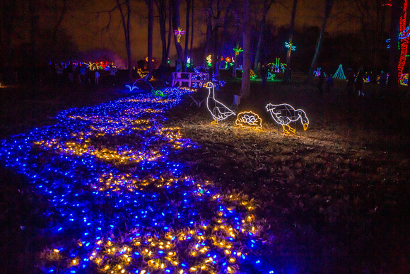 Meadowlark walk of lights-2523