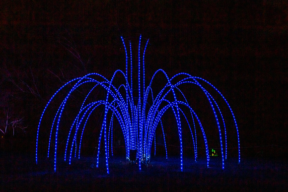 Meadowlark walk of lights-2552