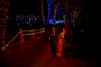 Meadowlark walk of lights-2516